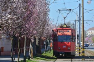 Vine primăvara! Vezi cum va fi vremea în următoarele două săptămâni
