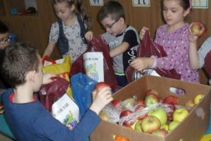 Este oficial! Elevii vor primi fructe şi legume la şcoală