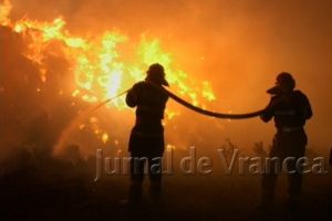 ULTIMĂ ORĂ: Depozit de material lemnos din Căiata, MISTUIT de flăcări