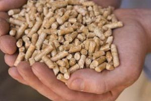 Astăzi, conferinţă internaţională pe tema valorificării biomasei