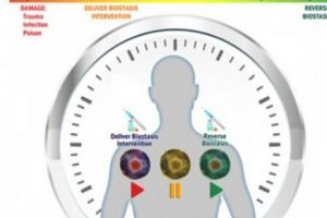 Cercetătorii SPERĂ  să „încetinească timpul biologic”