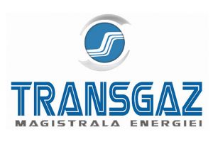 AGOA a stabilit salariul directorului general al Transgaz (document)