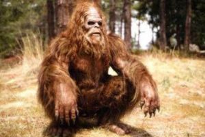 A REAPĂRUT Yowie, BESTIA MITICĂ din AUSTRALIA? O sângeroasă TRAGEDIE istorică le dă FIORI locuitorilor care privesc POZA - FOTO în articol