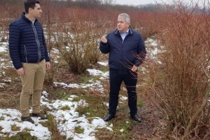 O condiţie esenţială pentru a beneficia de fondurile europene: Finalizarea cadastrării gratuite a terenurilor agricole