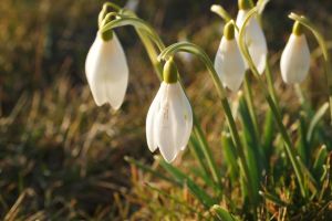 METEO: Miercuri, 7 martie, temperaturi neobişnuite pentru această perioadă