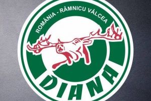 ANGAJARI – Vino in echipa DIANA!