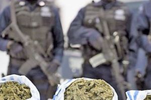 GRUPARE infracţională de TRAFIC de DROGURI, din TULCEA, destructurată de DIICOT