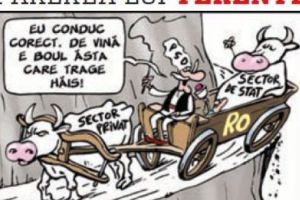 Părerea lui Terente