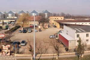 Ce a fost şi cum mai este. Primăvară la Vinalcool