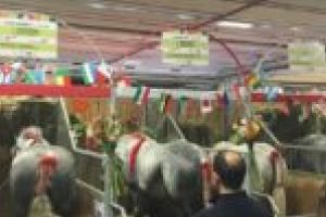 România, marea absentă de la Salonul Internaţional pentru Agricultură din Paris. „Vinovaţi suntem toţi!”