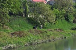 A început ”Curăţenia de primăvară” la Bistriţa