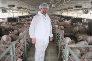 Ajutor de stat pentru crescătorii de suine