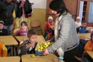 Elevii din judeţul Sibiu vor primi mere la şcoală de la jumătatea lui martie