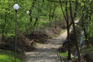 Senatul a aprobat proiectul prin care parcul Şipote ar urma să treacă în administrarea CL ...