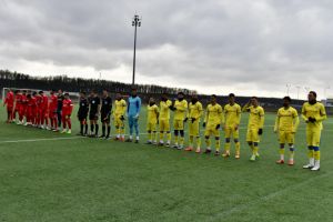 Sinteticul, suprafaţă oficială