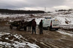 Locuitori din Valea Rece, prinşi la furat de lemne