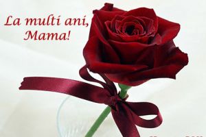 Cele mai frumoase mesaje de 8 Martie 2018. Urări care aduc zâmbetul pe buzele oricărei femei