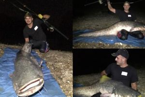 Un pescar sportiv din Alba a prins un peşte-gigant, din râul Mureş