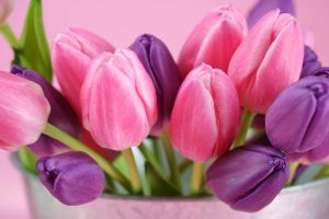 MESAJE DE 8 MARTIE. Cele mai frumoase urări de Ziua Femeii