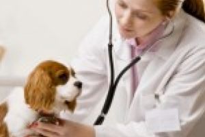 O lege stramba pune in pericol sanatatea intregii populatii