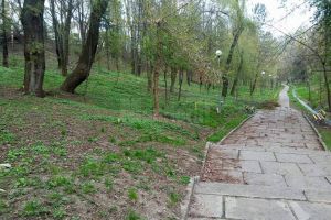 Senatul a aprobat proiectul prin care parcul Şipote ar urma să treacă în administrarea ...