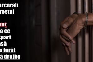 Încarceraţi în arestul I.P.J. Neamţ după ce au furat două drujbe