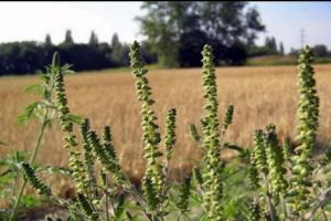 Românii riscă AMENZI URIAȘE. Ce spune LEGEA promulgată de Iohannis? NEWS ALERT social