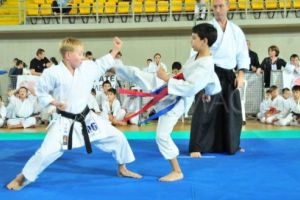 Calificări pentru Naţionalele de karate tradiţional la Deva