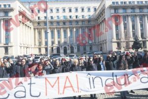 Feministele au refuzat florile oferite de jandarmi