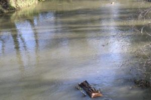 Cod galben de inundaţii în judeţul Hunedoara