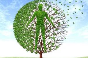 Omraam Mikhael Aivanhov: Alchimia spirituală – căutarea perfecţiunii (II): Arborele uman