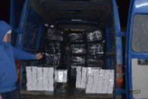 30.000 de pachete cu tigari de contrabanda ascunse sub pomi fructiferi