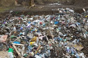 Arie NATURALĂ PROTEJATĂ, transformată în GROAPĂ DE GUNOI de o PRIMĂRIE din Arad. Acum, e rândul localităţii…