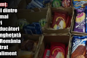 Neamţ: Unul dintre cei mai mari producători de îngheţată din România a intrat în faliment