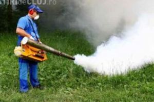 Cluj: Acţiune de deratizare pe domeniul public