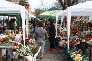 Poliţiştii de la Economic au dat amenzi de peste 80.000 lei. Acţiunile au vizat comerţul cu flori