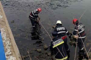 Tragedie la Medgidia. O angajată a primăriei s-a sinucis

