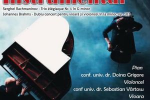 Recital instrumental, la USV