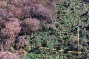 Poliţiştii cu plantaţia de canabis de la Iratoşu au fost condamnaţi