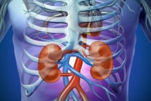 Presedintele ales al Societatii Romane de Nefrologie: Unul din zece romani are o afectiune cronica de rinichi