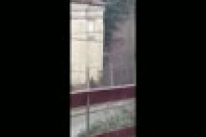 Un nebun aruncă cu bolovani în maşini în Cluj-Napoca. Unde s-a filmat - VIDEO