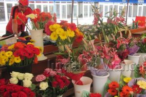 Mii de flori, confiscate de poliţie până pe 8 martie