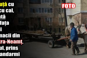 Piatra-Neamţ: Căruţă cu tot cu cal, furată din faţa unei farmacii. Hoţul, prins de jandarmi