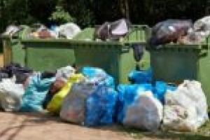 Colectarea gunoiului în Valea Bistrei, tarif maximal 7,5 lei pe persoană