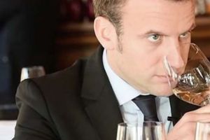 Ministrul Sănătăţii din Franţa susţine că VINUL face RĂU. Macron DĂ REPLICA: Beau vin la prânz şi la cină