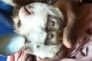 Vine APOCALIPSA? Creatura CIUDATĂ care a ÎNGROZIT internetul nu lasă loc pentru DUBII. FOTO în articol