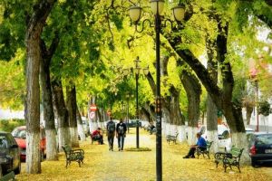 Toaletări pe Bulevardul Cetăţii. Anunţul făcut de conducerea Primăriei