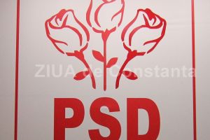 Majoritatea cititorilor au ghicit raspunsul la sondajul nostru cu privire la schimbarea lui Liviu Dragnea din functia de presedinte al PSD