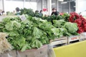 Arme împotriva asteniei