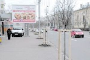 Pomii decorativi umplu Bârladul